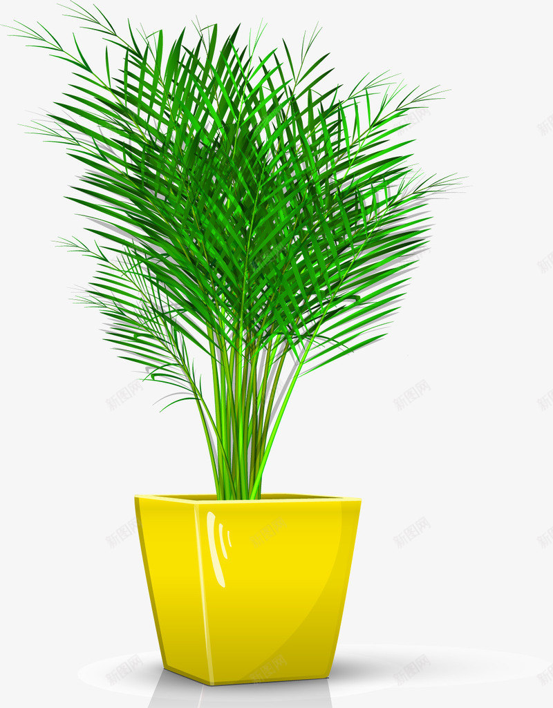 手绘精致盆栽矢量图ai免抠素材_88icon https://88icon.com 手绘 植物 精致盆栽 矢量图