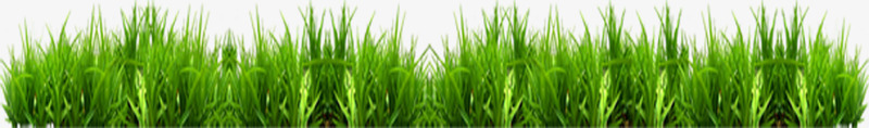 绿色春天草丛小草png免抠素材_88icon https://88icon.com 春天 绿色 芒草 草丛 设计 鲜嫩的小草