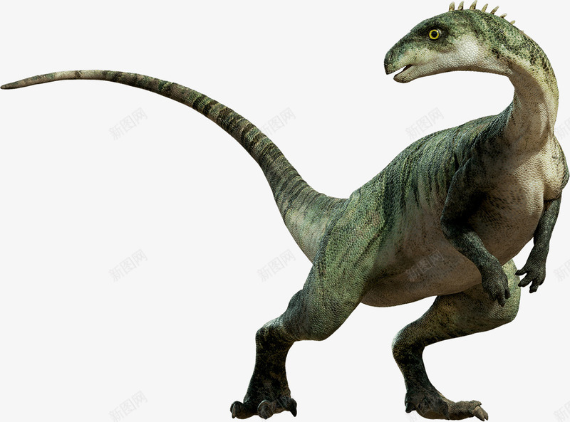 侏罗纪恐龙png免抠素材_88icon https://88icon.com PNG 侏罗纪 恐龙 灭绝生物 远古生物