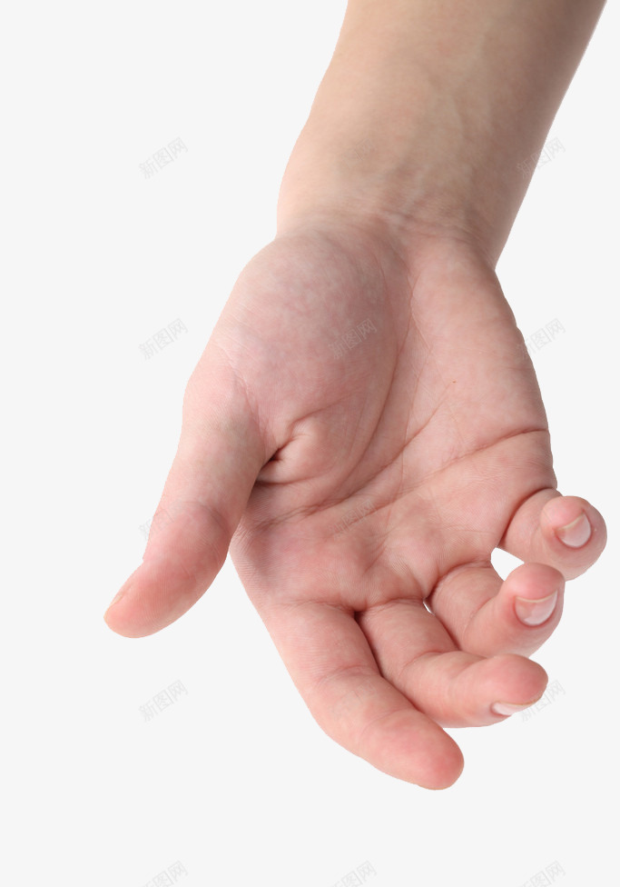 手心特写png免抠素材_88icon https://88icon.com 手势 手心 手部 特写