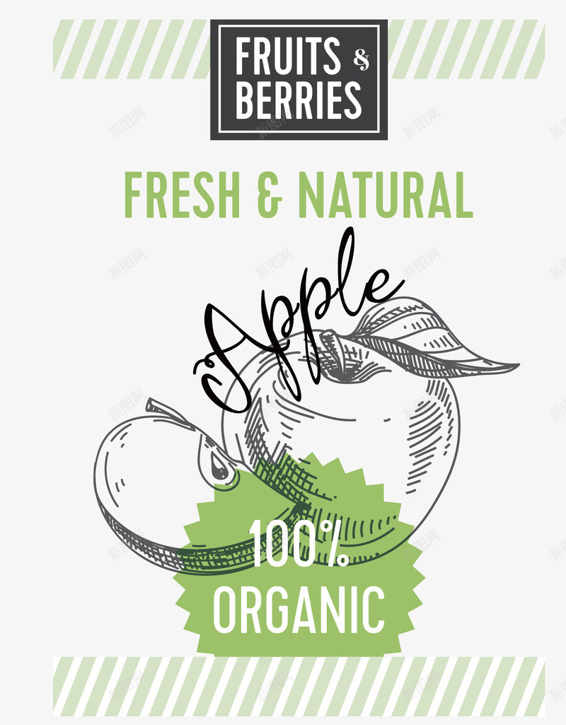 精美手绘线稿水果海报矢量图ai免抠素材_88icon https://88icon.com 手绘 水果 海报 精美 线稿 苹果 矢量图
