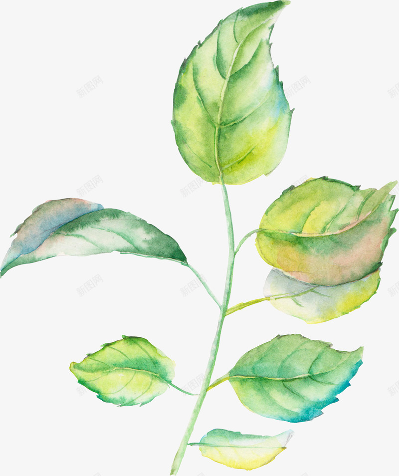 水彩叶子png免抠素材_88icon https://88icon.com 一株叶子 唯美 植物 水彩色 浅色 舒适 黄绿