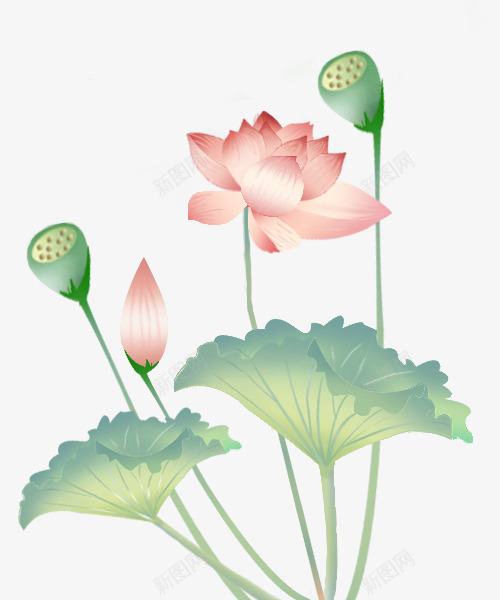 中国风荷花psd免抠素材_88icon https://88icon.com 中国风 国画 手绘 手绘藕 新图网 植物 水彩画 荷叶 荷花 莲蓬 莲藕