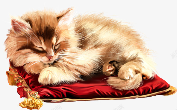 躺着睡觉的可爱猫咪png免抠素材_88icon https://88icon.com 休息 可爱的 垫子 实物图 猫咪 睡觉 长毛猫咪