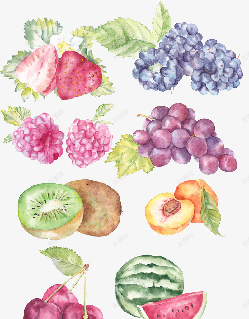 手绘水彩水果插画png免抠素材_88icon https://88icon.com 可爱 手绘 插画 水彩 水果 猕猴桃 荔枝 蓝莓 黄桃