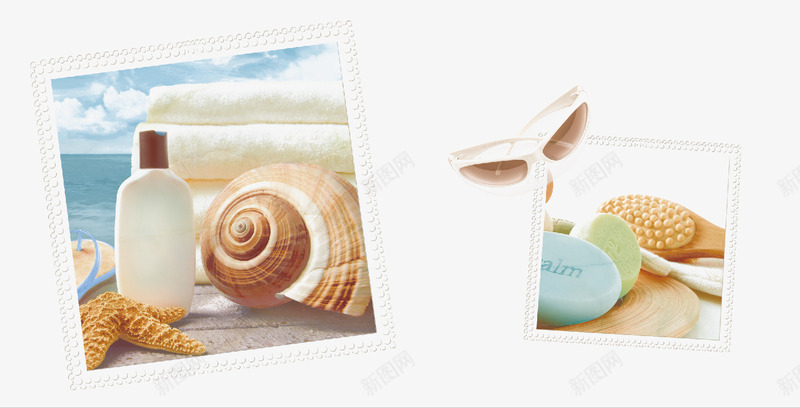 海边风情png免抠素材_88icon https://88icon.com PNG 免费 免费素材 海螺 贝壳