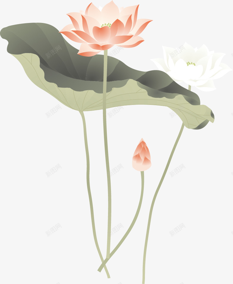 中国风水墨荷花矢量图ai免抠素材_88icon https://88icon.com 中国风 水墨 荷花 矢量图