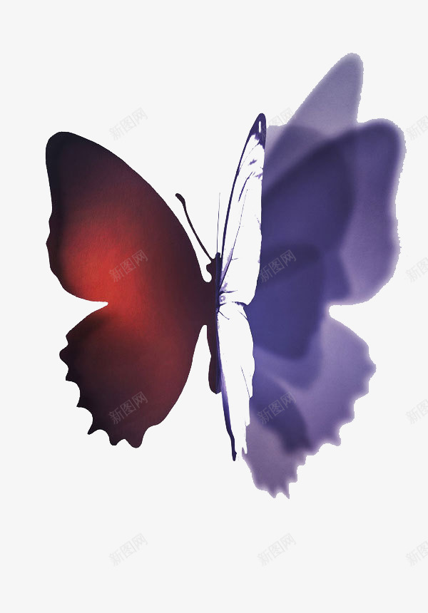 悬疑蝴蝶平面图png免抠素材_88icon https://88icon.com 悬疑 悬疑风格 惊悚 蝴蝶 黑暗
