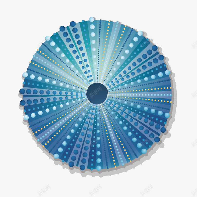 贝壳图案png免抠素材_88icon https://88icon.com 扇贝 花呗 花纹 贝壳图案