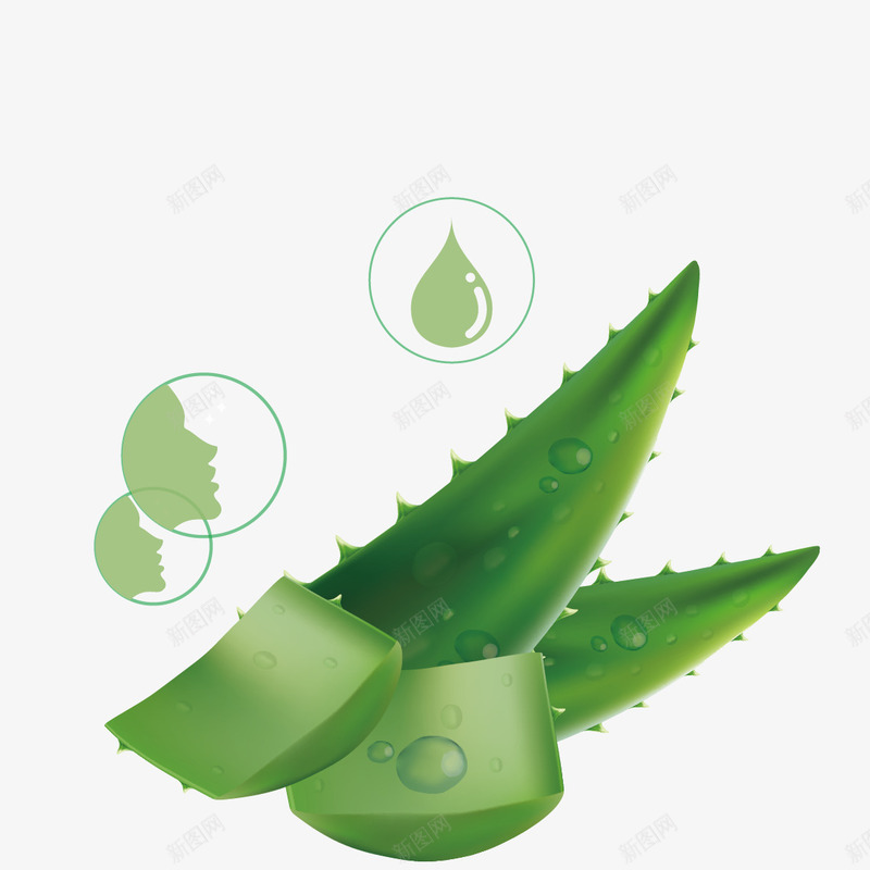芦荟抗衰原液png免抠素材_88icon https://88icon.com 人脸 抗衰 护肤 芦荟