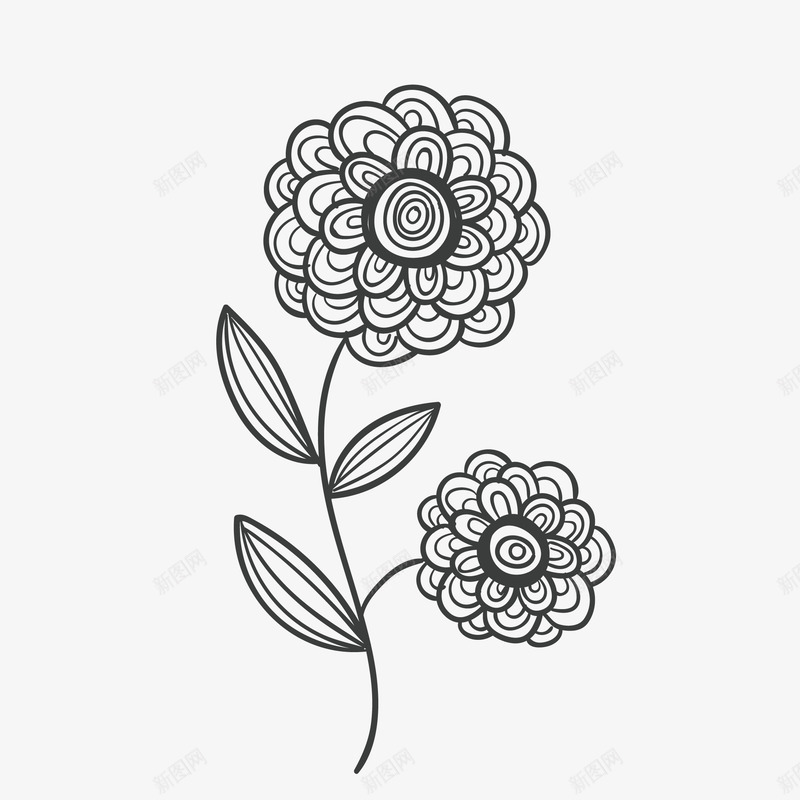 黑白花卉装饰png免抠素材_88icon https://88icon.com 创意 复古花卉 富贵 手绘 手绘花卉 树叶 矢量图设计 草本花 设计 黑白线条花