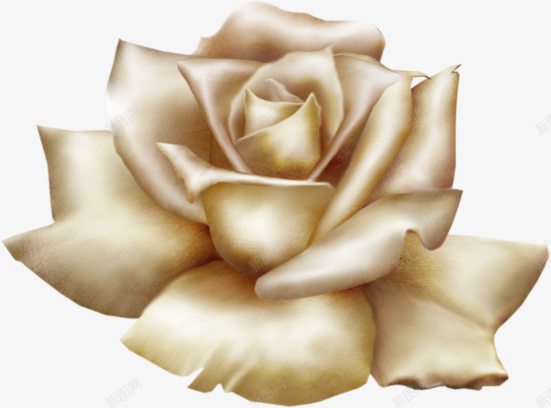 金色丝绸玫瑰花png免抠素材_88icon https://88icon.com 丝绸 玫瑰花 金色 镀金
