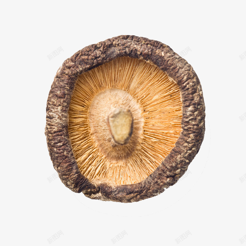 一个干香菇png免抠素材_88icon https://88icon.com 一个干香菇 健康 实物 干燥 菌类成分 蔬菜 香菇特写 香菇青菜