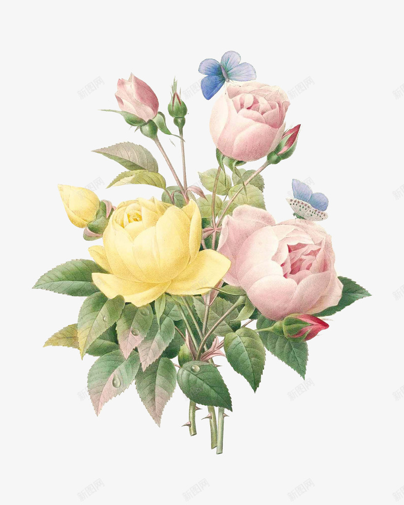 古风淡彩水墨花卉中国画png免抠素材_88icon https://88icon.com 中国风 国画 手绘 淡彩 牡丹 花卉 蝴蝶