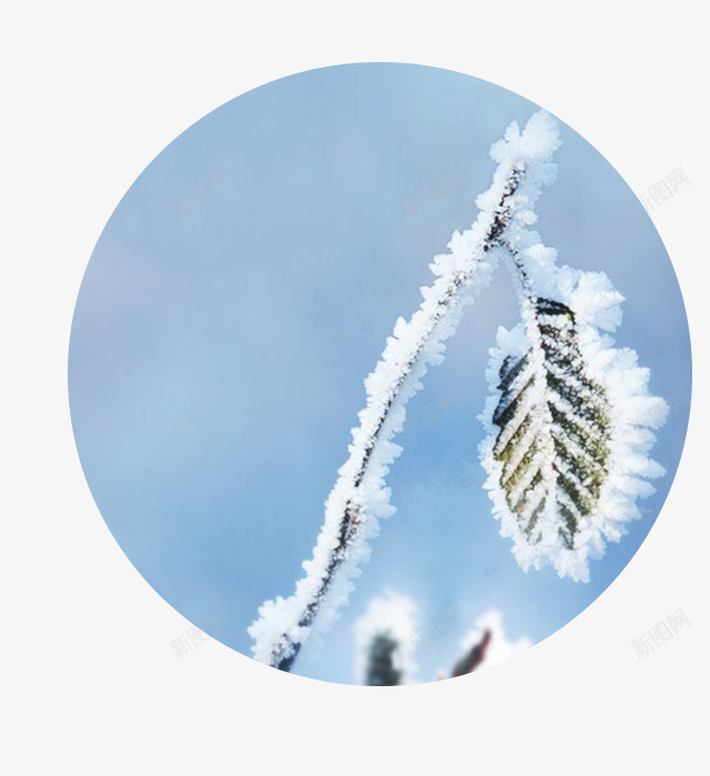 传统二十四节气霜降psd免抠素材_88icon https://88icon.com 24节气 下雪 二十四节气 传统 传统二十四节气霜降 叶子 节气 霜降