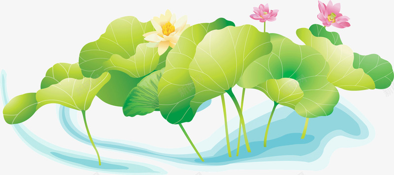 满池的荷叶png免抠素材_88icon https://88icon.com 池子 绿色 荷叶