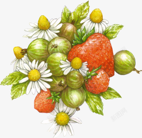 抽象花朵花卉图案果实png免抠素材_88icon https://88icon.com 创意花卉图片 唯美背景图片 手绘鲜花图片 果实 植物花卉 草莓 鲜花 鲜花元素