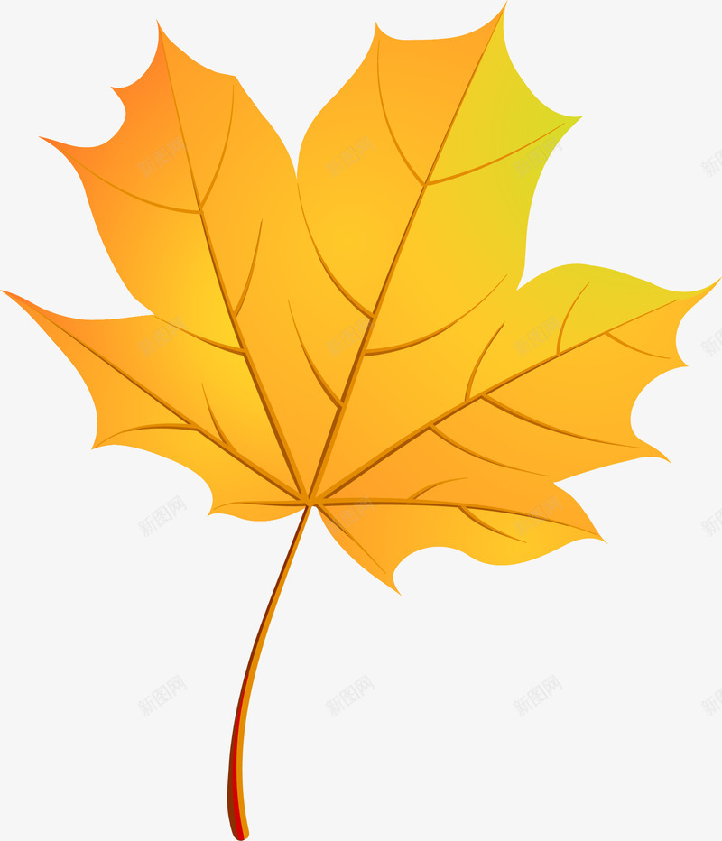秋季装饰落叶矢量图ai免抠素材_88icon https://88icon.com 枫叶 秋季元素 落叶 装饰 矢量图