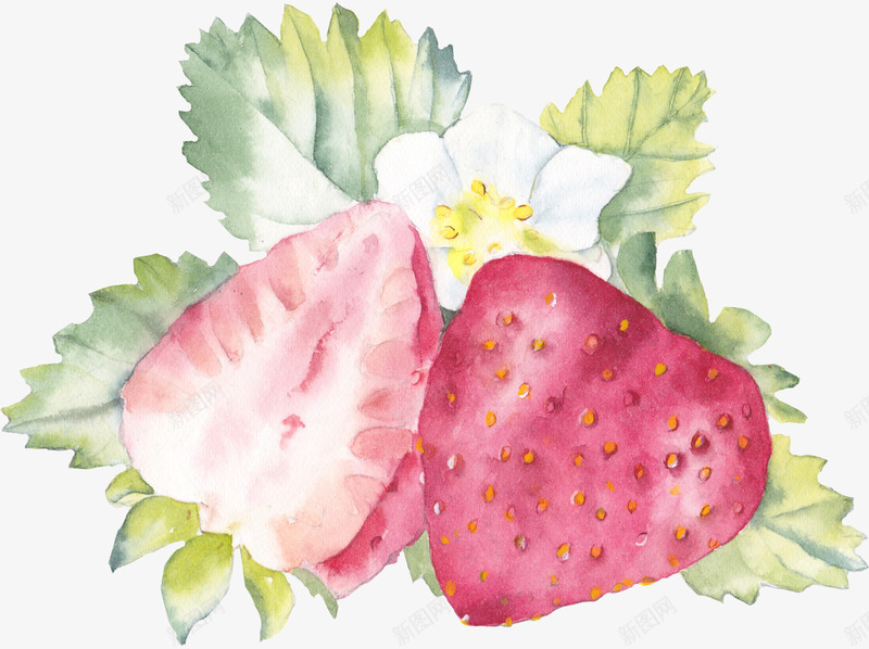手绘草莓插画png免抠素材_88icon https://88icon.com 插画 草莓 设计