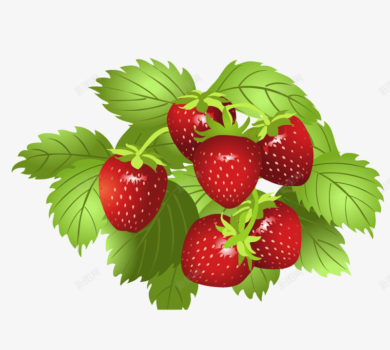 草莓矢量图ai免抠素材_88icon https://88icon.com 成熟的草莓 新鲜草莓 水果 矢量图