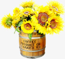 黄色卡通花朵盆栽png免抠素材_88icon https://88icon.com 卡通 盆栽 花朵 黄色