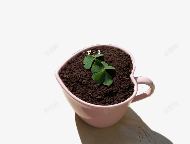 心形陶瓷杯装盆栽饮料png免抠素材_88icon https://88icon.com 创意奶茶 可可粉 心形 盆栽饮料 薄荷叶 陶瓷杯装