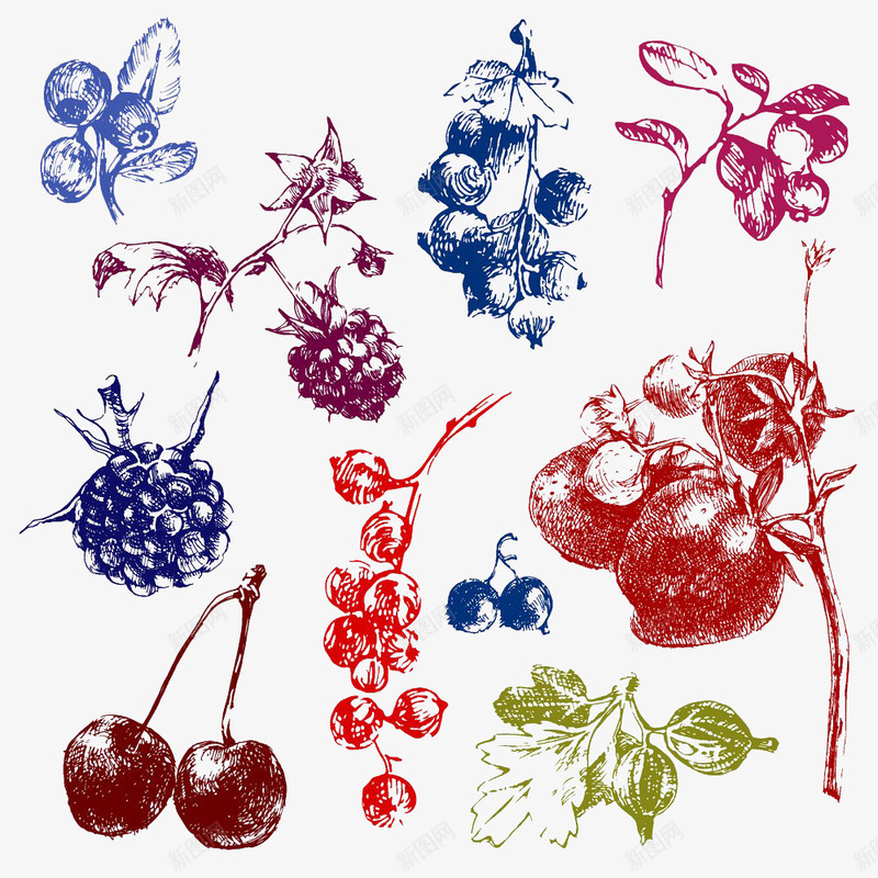 手绘水果插画png免抠素材_88icon https://88icon.com 树莓 樱桃 覆盆子