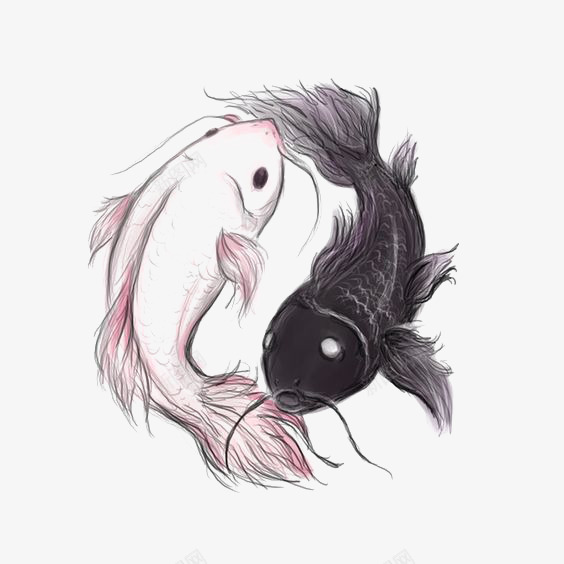 水彩锦鲤png免抠素材_88icon https://88icon.com 中国风 太极 小鱼 鲤鱼 黑白锦鲤