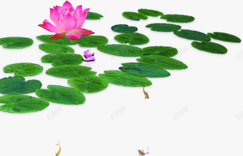 绿色古典荷塘荷叶png免抠素材_88icon https://88icon.com 古典 绿色 荷叶 荷塘