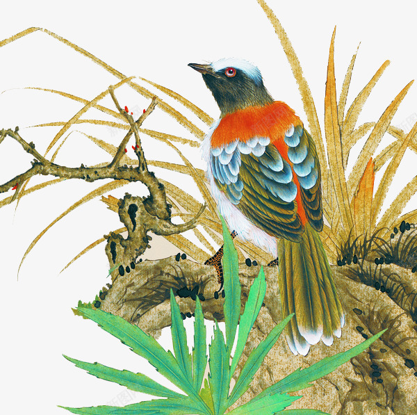 手绘花鸟装饰画png免抠素材_88icon https://88icon.com 清新装饰画 花鸟画装饰画 鸟类工笔画 鸟类插画 鸟类油画