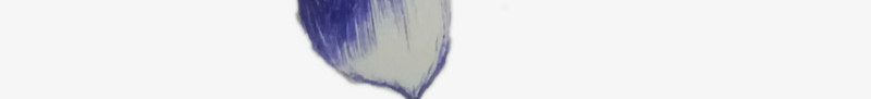 圆珠笔荷花儿png免抠素材_88icon https://88icon.com 手绘睡莲 睡莲 线稿睡莲 线稿荷花 荷花 莲花圆珠笔画 莲花画稿图片素材