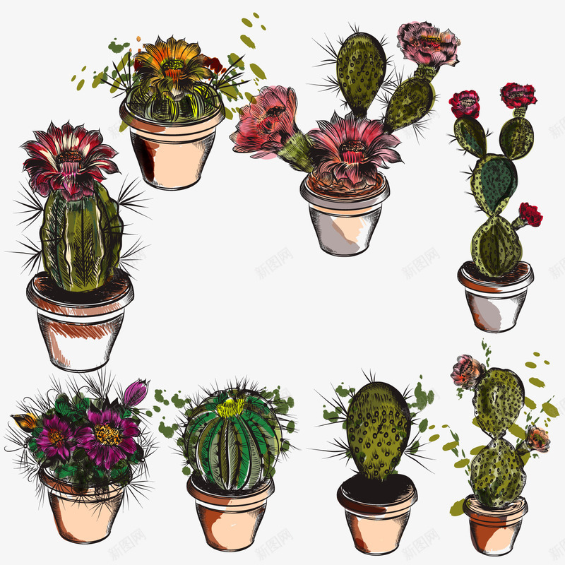 仙人掌花png免抠素材_88icon https://88icon.com 室内矢量 手绘 盆栽 装饰