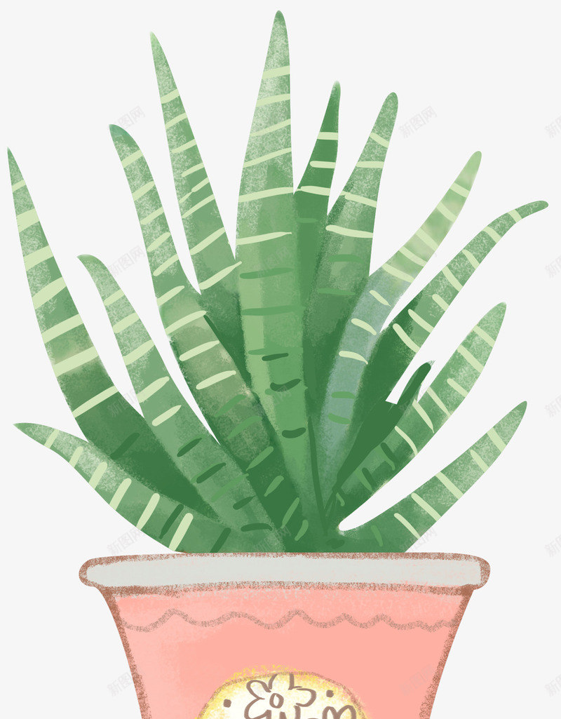小清新芦荟植物盆栽png免抠素材_88icon https://88icon.com 小清新 手绘插画 植物 盆栽 芦荟 芦荟盆栽