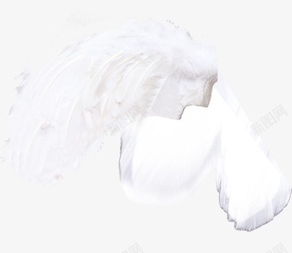 创意合成了白色的羽毛效果png免抠素材_88icon https://88icon.com 创意 合成 效果 白色 羽毛