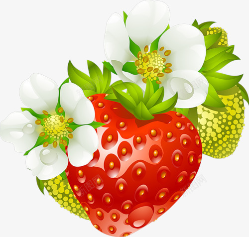 红色草莓png免抠素材_88icon https://88icon.com 水果 红色 草莓 草莓花