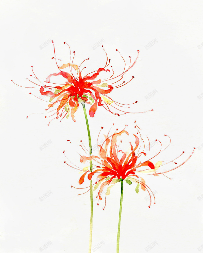 唯美古风水彩插画png免抠素材_88icon https://88icon.com 中国风 古代风 古风水彩 古风物件 古风花卉 山清水秀 彩色水墨画 文人墨客 水彩画 花卉 花鸟鱼虫 落花流水 诗情画意 风景