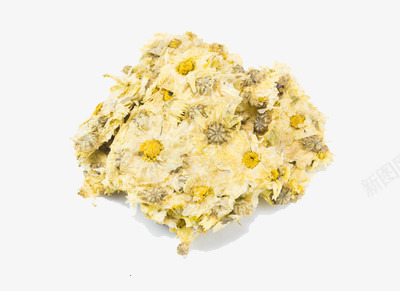 一堆干的菊花png免抠素材_88icon https://88icon.com 泡茶 清凉 花茶 降火