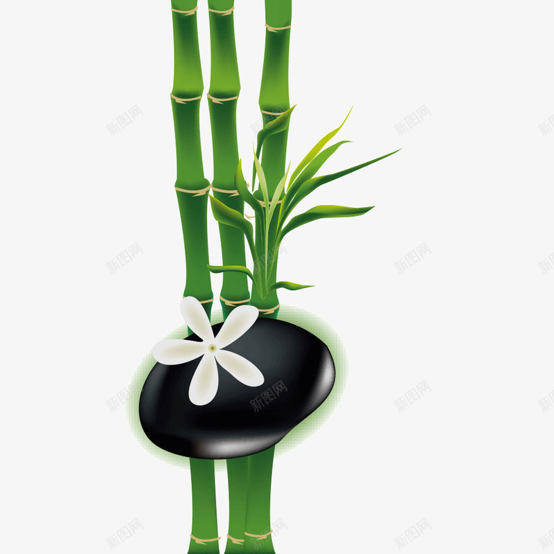 翠竹png免抠素材_88icon https://88icon.com 端午节 竹子 绿色 翠竹