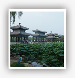 绿色荷叶池塘风光建筑亭台png免抠素材_88icon https://88icon.com 亭台 建筑 池塘 绿色 荷叶 风光