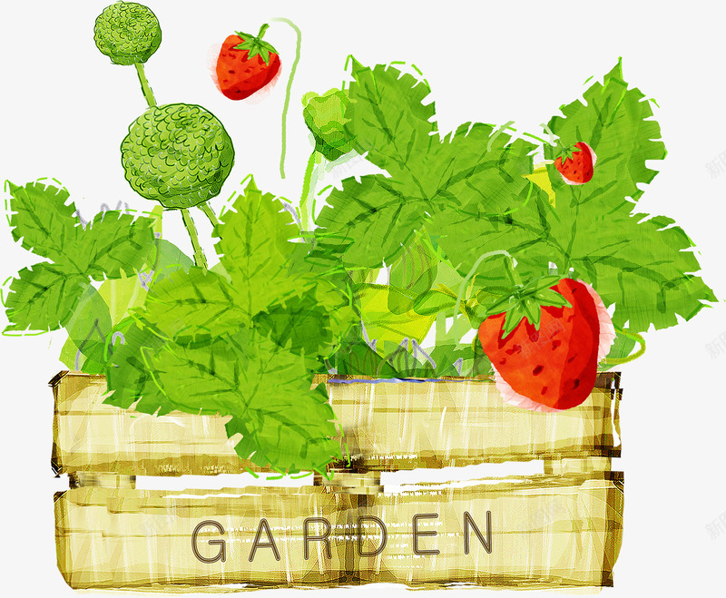 手绘草莓盆栽插画png免抠素材_88icon https://88icon.com 插画 盆栽 草莓