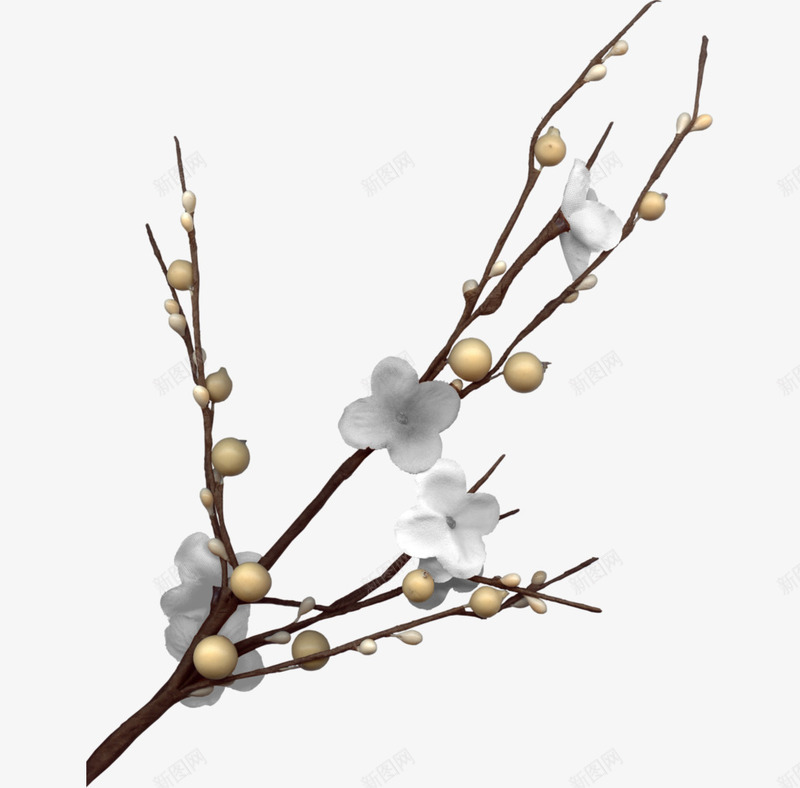 白梅枝头png免抠素材_88icon https://88icon.com 冬日枝头的梅花 冬日雪中梅花图 枝头梅 枝头花 梅花枝头