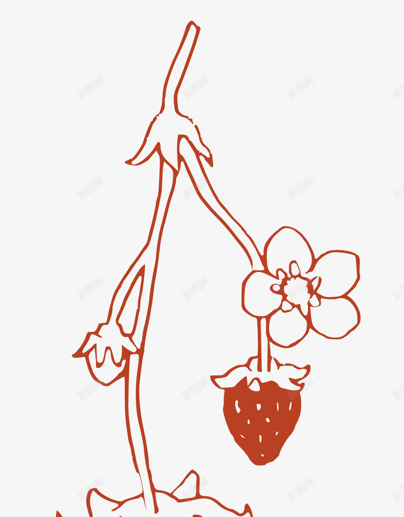 线性手绘草莓png免抠素材_88icon https://88icon.com 卡通画 手绘草莓 线描画