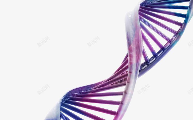 紫蓝色DNA模型png免抠素材_88icon https://88icon.com DNA 基因 生物 科技