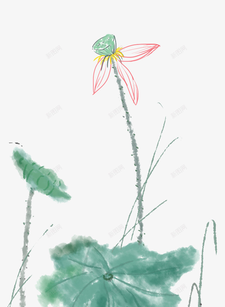 荷花荷叶图案png免抠素材_88icon https://88icon.com 绿色的荷叶 荷花 荷莲