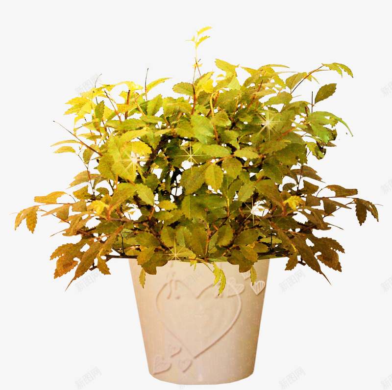 盆栽装饰花艺png免抠素材_88icon https://88icon.com 家具 盆栽 花艺 装饰