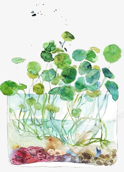 手绘水生植物矢量图ai免抠素材_88icon https://88icon.com 手绘 绿色植物 荷叶 透明水缸 矢量图