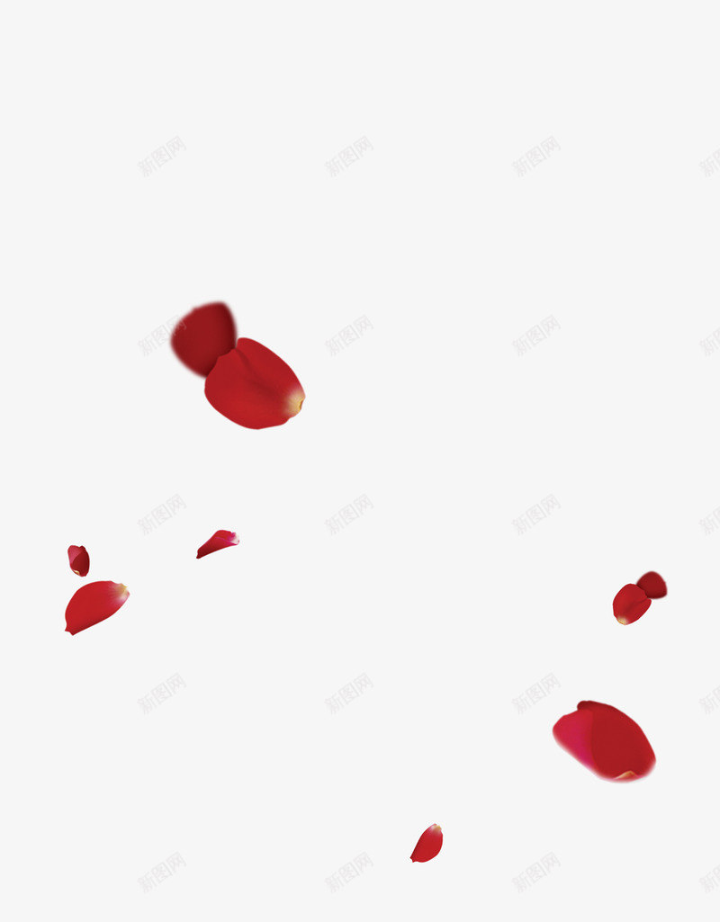 红色花瓣质感模糊效果png免抠素材_88icon https://88icon.com 效果 模糊 红色 花瓣 质感