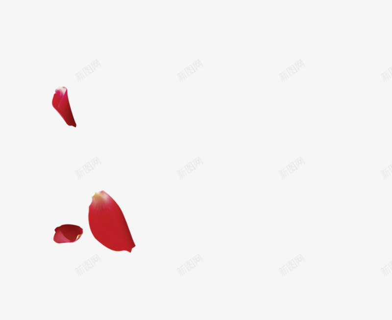 红色花瓣质感模糊效果png免抠素材_88icon https://88icon.com 效果 模糊 红色 花瓣 质感