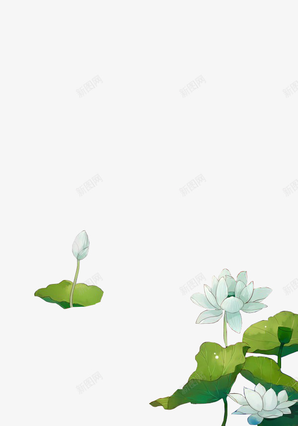 手绘荷叶花朵装饰png免抠素材_88icon https://88icon.com 手绘 花朵 荷叶 装饰