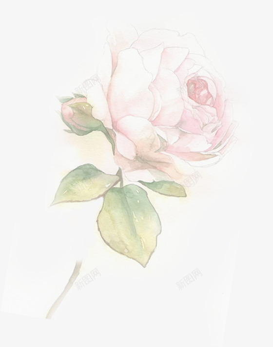 手绘玫瑰感恩母亲节展板png免抠素材_88icon https://88icon.com 妈妈谢谢你 展板 感恩 母亲节 玫瑰